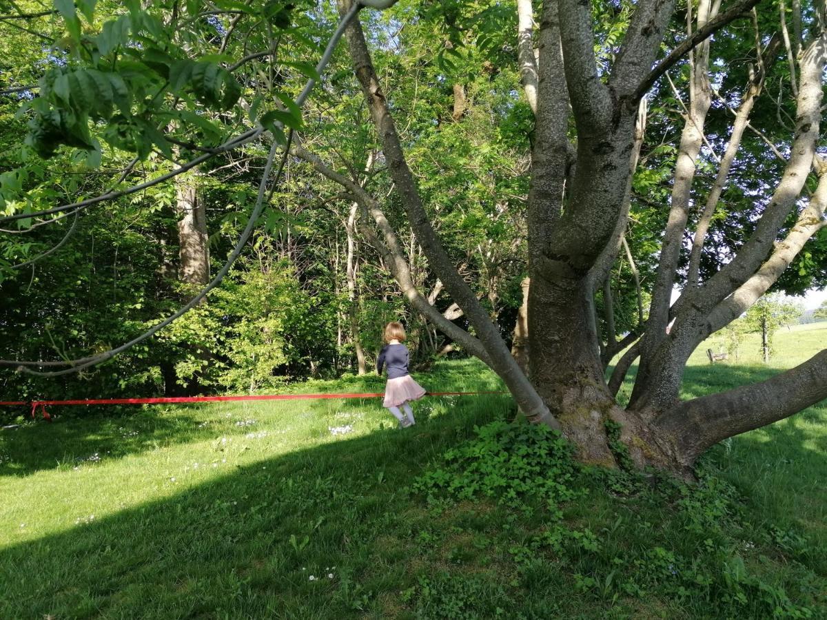 5Sterne Ferienwohnung Im Fachwerk Mit Bergblick In Alleinlage Und Grossem Garten, Infrarotkabine Humberg Экстерьер фото