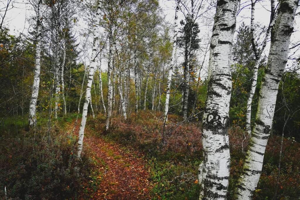 5Sterne Ferienwohnung Im Fachwerk Mit Bergblick In Alleinlage Und Grossem Garten, Infrarotkabine Humberg Экстерьер фото