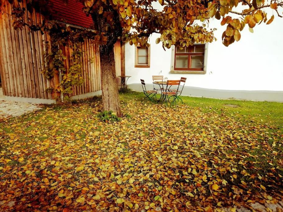 5Sterne Ferienwohnung Im Fachwerk Mit Bergblick In Alleinlage Und Grossem Garten, Infrarotkabine Humberg Экстерьер фото